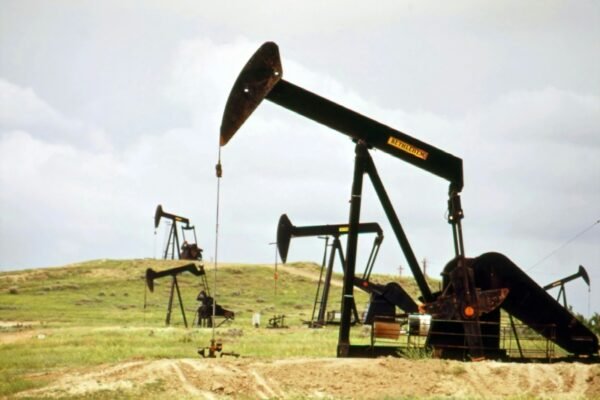 20 Soruda Türkiye’de Petrol